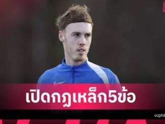 พาลเมอร์ เข้าข่ายไหม