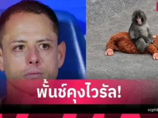 ชิชาริโต้ กลั้นน้ำตาไม่อยู่