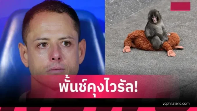 ชิชาริโต้ กลั้นน้ำตาไม่อยู่