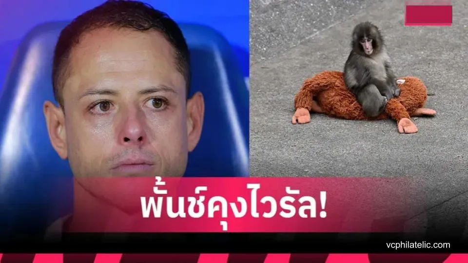 ชิชาริโต้ กลั้นน้ำตาไม่อยู่